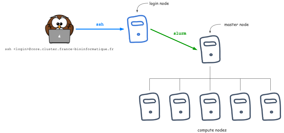 SLURM components