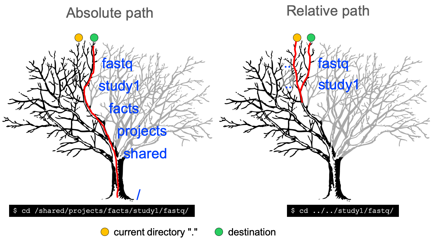 Navigation Trees