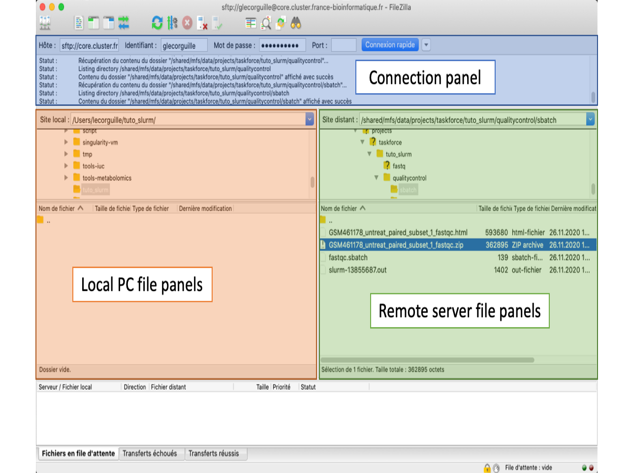 FileZilla Interface