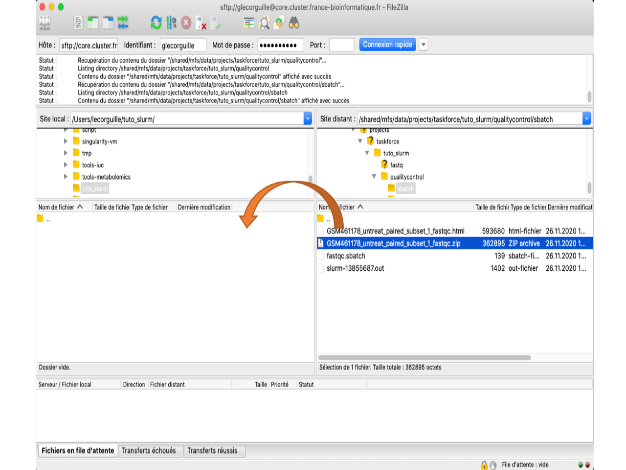 FileZilla Interface